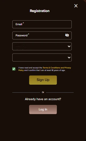 Bullspins registration form with email, password, and age verification fields